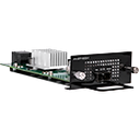 100G QSFP28 Expansion Module, 1 Port (AN-SFP-100G-1) - alt view